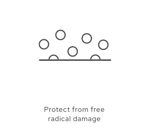 Protect from free radical damage