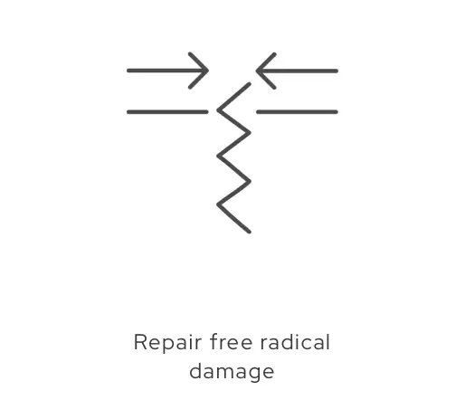 Repair free radical damage